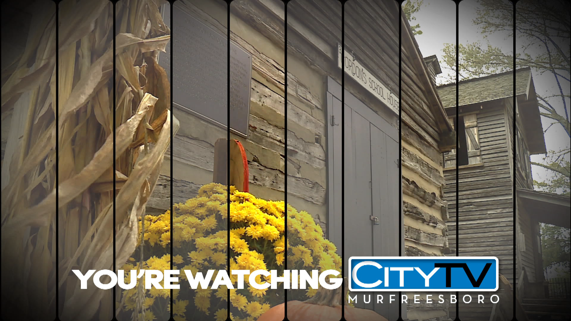 Thumbnail image for Fall Station ID