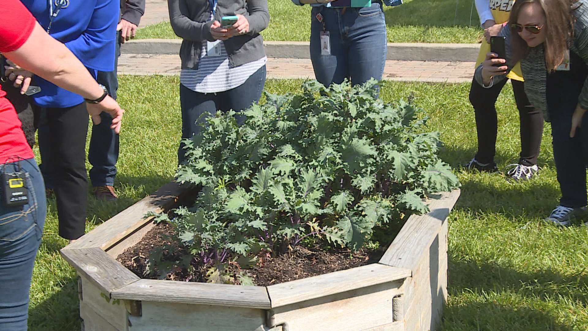 Thumbnail image for Overall Creek Elem. Farm 2 School (Newsbreak)